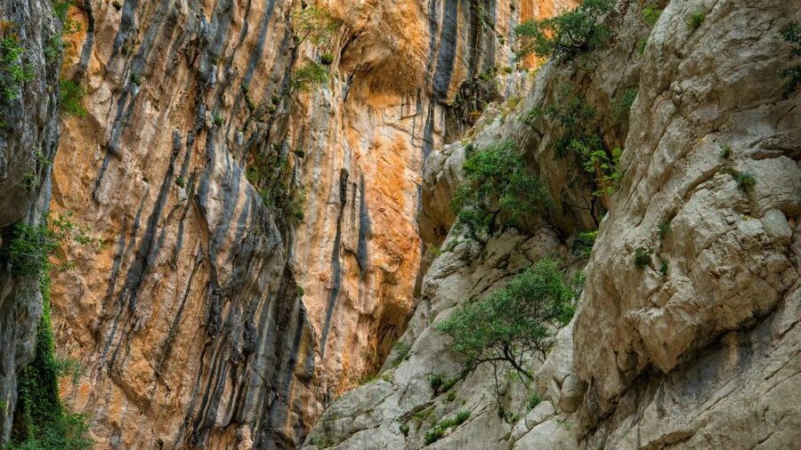 From Cala Gonone: Gorropu hiking with lunch - Should you book this Gorropu hike?