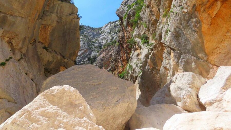 From Cala Gonone: Gorropu hiking with lunch - The first miles through Mediterranean scrub