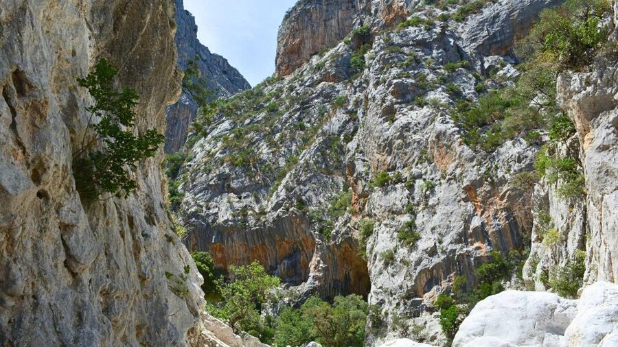From Cala Gonone: Gorropu hiking with lunch - What to pack for the Gorropu route