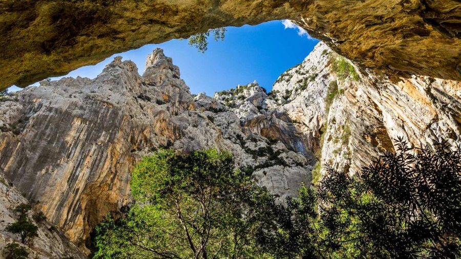 From Cala Gonone: Gorropu hiking with lunch - From Cala Gonone to the trailhead by off-road vehicle