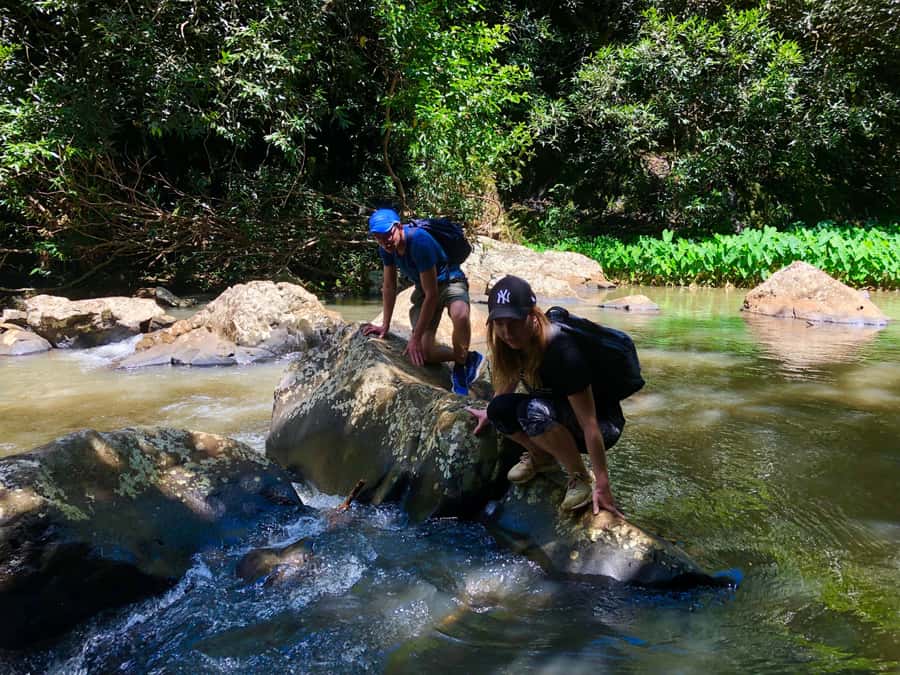 From Chamarel: Waterfall Eco-Hike Adventure - Key points to know before you book