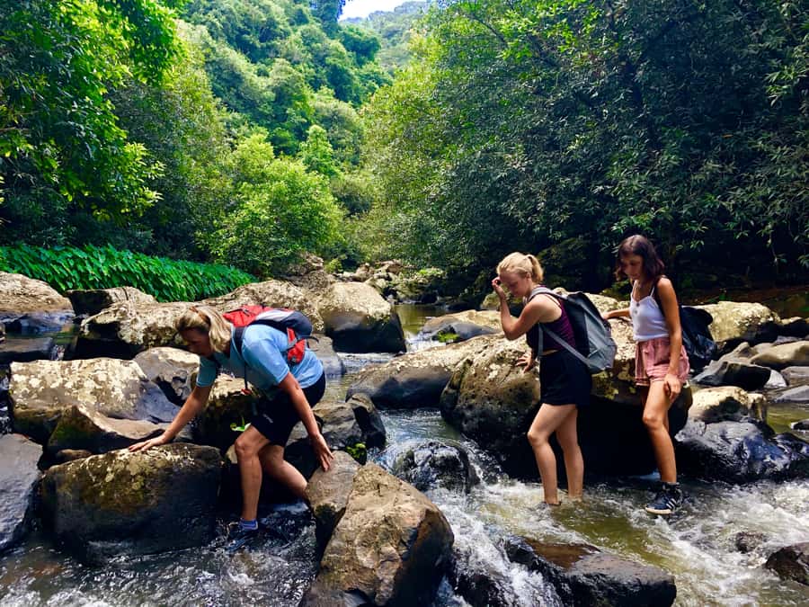 From Chamarel: Waterfall Eco-Hike Adventure - Starting at Seven Colored Earth Geopark