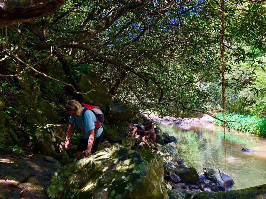 From Chamarel: Waterfall Eco-Hike Adventure - Is the $82 price fair?
