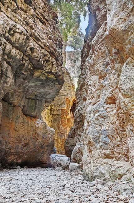 From Chania:Imbros Gorge Tour with Professional Hiking Guide - Why Imbros Gorge works for first-time hikers