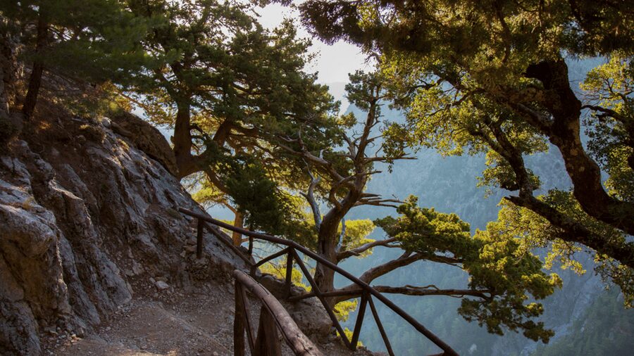 From Chania: Samaria Gorge Full-Day Guided Hiking Tour - Churches, ruins, and the old village of Samaria