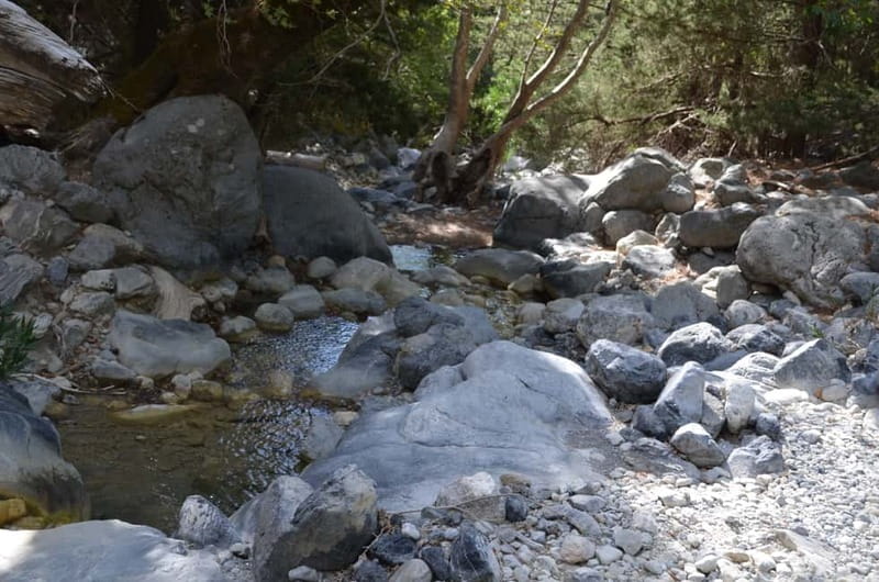 From Chania: Samaria Gorge Hike with Local Mountain Guide - Should you book the Samaria Gorge tour?