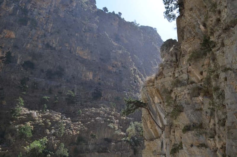 From Chania: Samaria Gorge Hike with Local Mountain Guide - Why the Samaria Gorge makes such a good day trip
