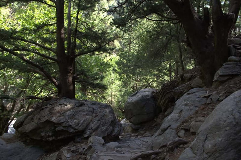 From Chania: Samaria Gorge Hike with Local Mountain Guide - What the $36 price really covers