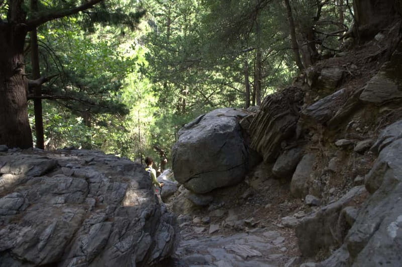 From Chania: Samaria Gorge Hike with Local Mountain Guide - Who should book this hike
