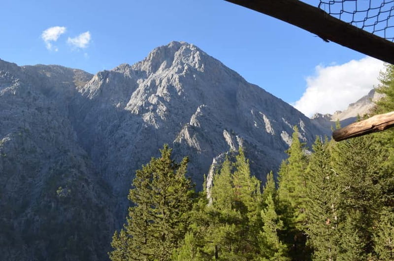 From Chania: Samaria Gorge Hike with Local Mountain Guide - From Chania to the Omalos Plateau