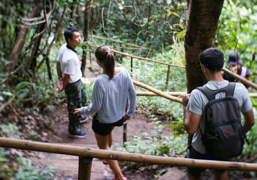 From Chiang Mai: Doi Inthanon National Park Day Trip & Hike - Why Doi Inthanon makes a strong Chiang Mai day trip