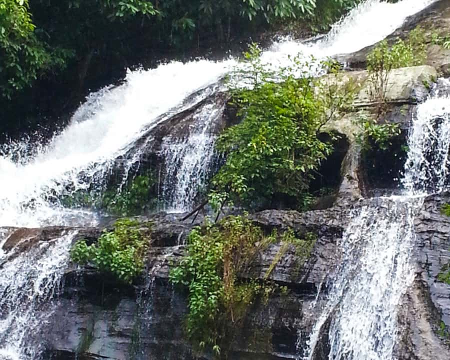 From Chiang Mai: Doi Inthanon National Park Day Trip & Hike - Royal pagodas with mountain views