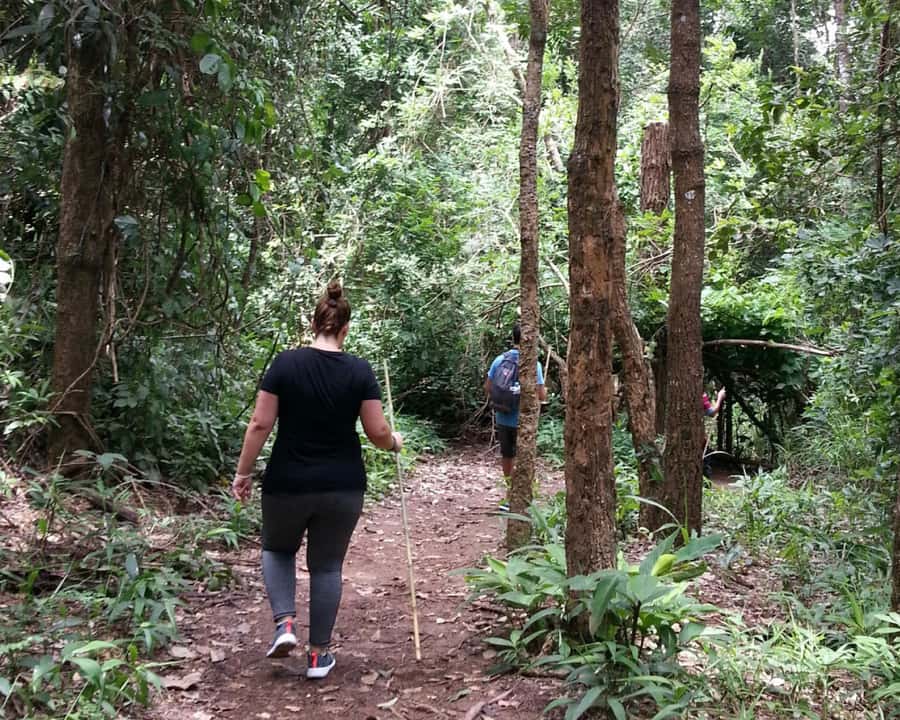 From Chiang Mai: Doi Inthanon National Park Day Trip & Hike - A quick stop at the Hmong market