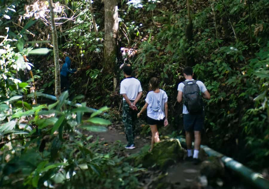 From Chiang Mai: Doi Inthanon National Park Day Trip & Hike - Lunch at the Royal Project restaurant