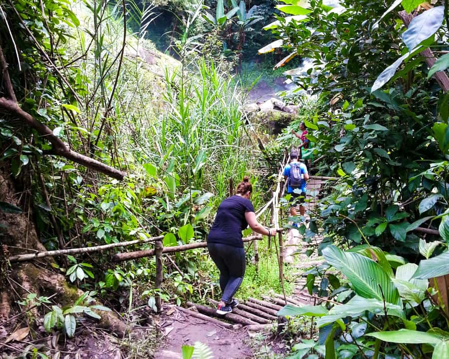 From Chiang Mai: Doi Inthanon National Park Day Trip & Hike - Mae Klang Luang and the Karen village