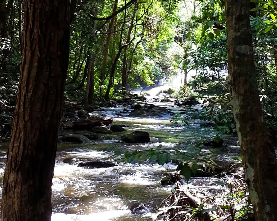 From Chiang Mai: Doi Inthanon National Park Day Trip & Hike - The two-hour drive from Chiang Mai
