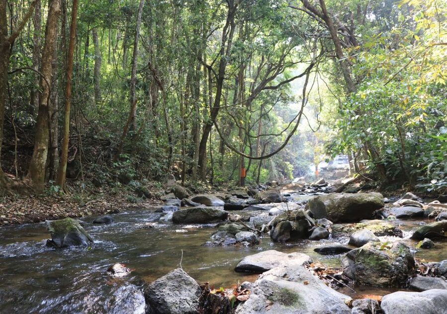 From Chiang Mai: Doi Inthanon National Park Hiking Tour - Why Doi Inthanon makes a strong day trip from Chiang Mai