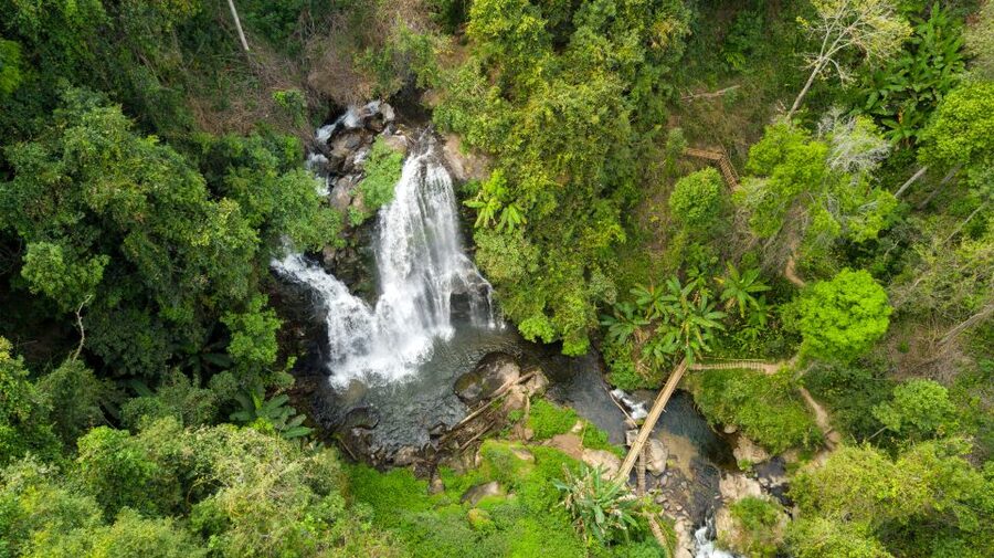 From Chiang Mai: Doi Inthanon National Park Hiking Tour - The 4km trail through forest, pine, and farmland
