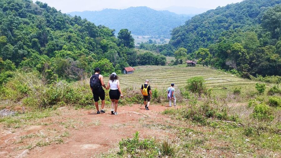 From Chiang Mai: Doi Inthanon National Park Hiking Tour - The summit: Thailand’s highest point, with a cool surprise