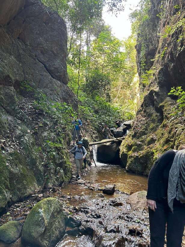 From Chiang Mai: Doi Saket Hiking Tour with Lunch - FAQ