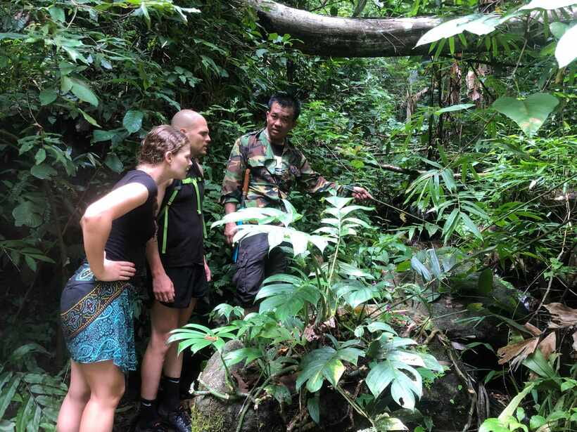 From Chiang Mai: Doi Saket Hiking Tour with Lunch - The five-hour trail is the main event