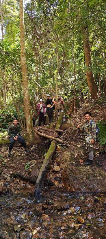 From Chiang Mai: Doi Saket Hiking Tour with Lunch - What $57 buys you