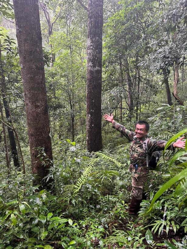 From Chiang Mai: Doi Saket Hiking Tour with Lunch - Ancient trees, herbs, and forest skills