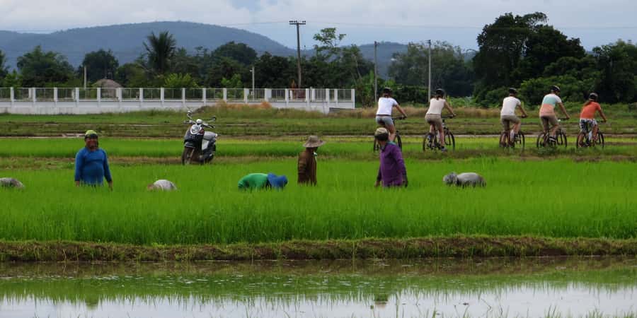 From Chiang Mai: Mae Taeng Valley Hike & Bike Day Trip - Key points to know before booking