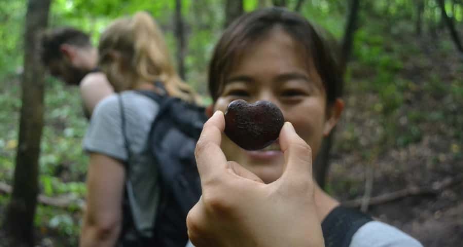 From Chiang Mai: Mae Taeng Valley Hike & Bike Day Trip - Thai lunch with a view