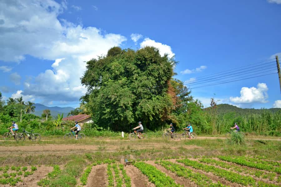 From Chiang Mai: Mae Taeng Valley Hike & Bike Day Trip - How this compares with a standard Chiang Mai excursion