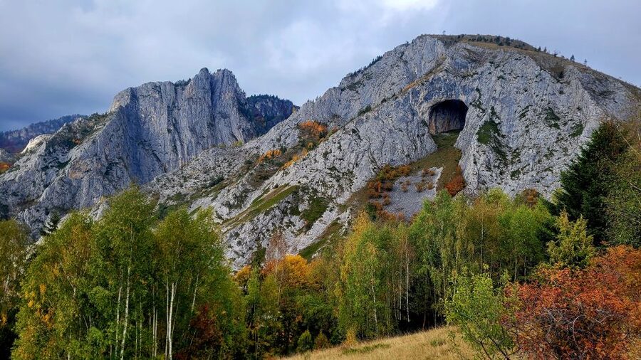 From Cluj-Napoca: Apuseni Mountains Hiking Guided Day Tour - Key points to know before you book
