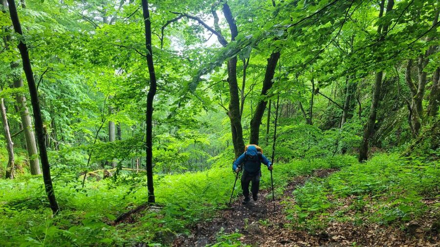 From Cluj-Napoca: Apuseni Mountains Hiking Guided Day Tour - Should you book the Scarita Peak hike?