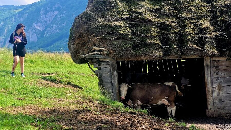From Cluj-Napoca: Apuseni Mountains Hiking Guided Day Tour - Leaving Cluj for Posaga de Sus