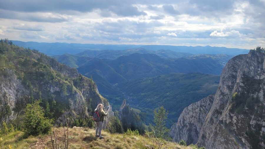 From Cluj-Napoca: Apuseni Mountains Hiking Guided Day Tour - A botanical reserve with rare plants and fungi