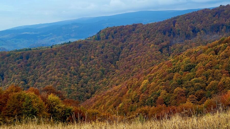From Cluj-Napoca: Apuseni Mountains Hiking Guided Day Tour - Who should book this Apuseni hiking day?