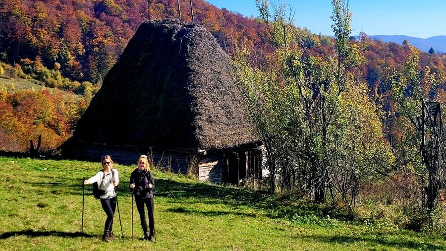From Cluj-Napoca: Apuseni Mountains Hiking Guided Day Tour - From beech forest to the alpine zone