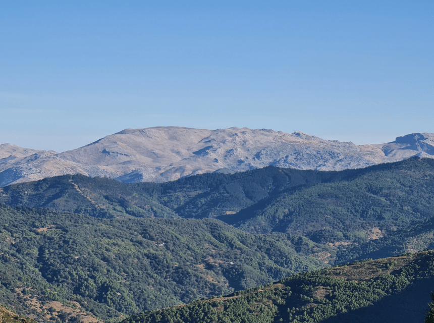 From Costa del Sol: Sierra Bermeja Private Hiking Tour - Key points to know before you book