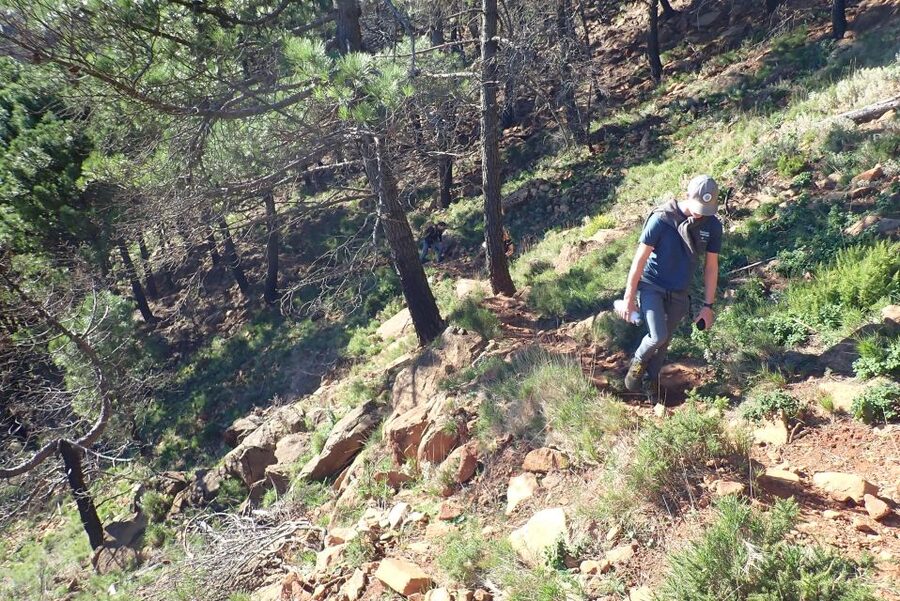 From Costa del Sol: Sierra Bermeja Private Hiking Tour - Why Sierra Bermeja makes a memorable hike
