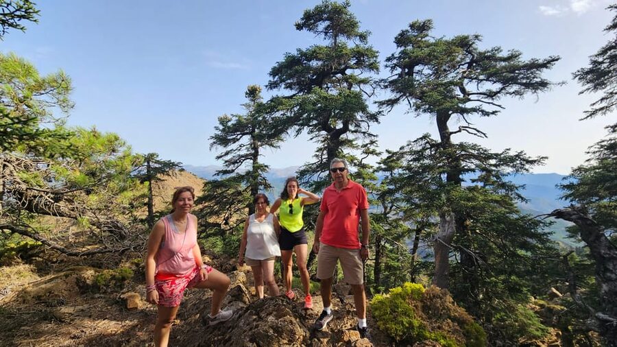 From Costa del Sol: Sierra Bermeja Private Hiking Tour - Is the $79 price good value?
