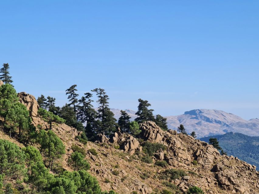 From Costa del Sol: Sierra Bermeja Private Hiking Tour - Who should book this hike?
