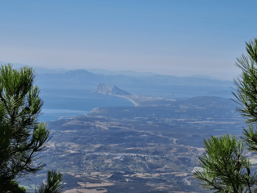 From Costa del Sol: Sierra Bermeja Private Hiking Tour - A practical four-hour plan