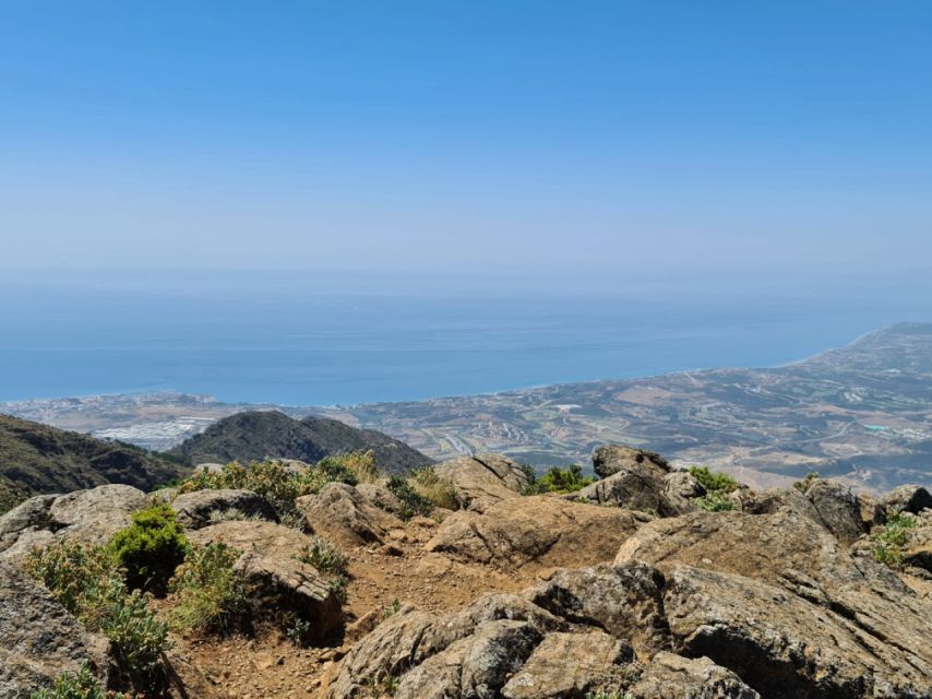 From Costa del Sol: Sierra Bermeja Private Hiking Tour - The route from Estepona to the high mountain