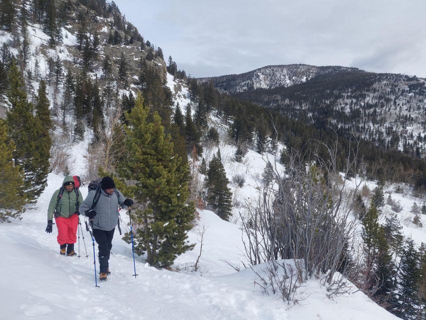 From Denver: Guided Hike in the Rockies - Why the small group changes the day