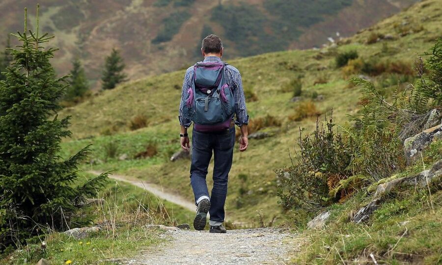 From Denver: Hike the Rockies Tour - Seasonal Changes Along the Trail