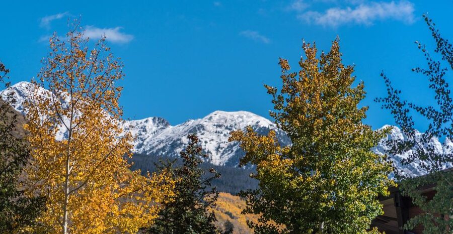 From Denver: Hike the Rockies Tour - A Four-Mile Trail With More Than One View