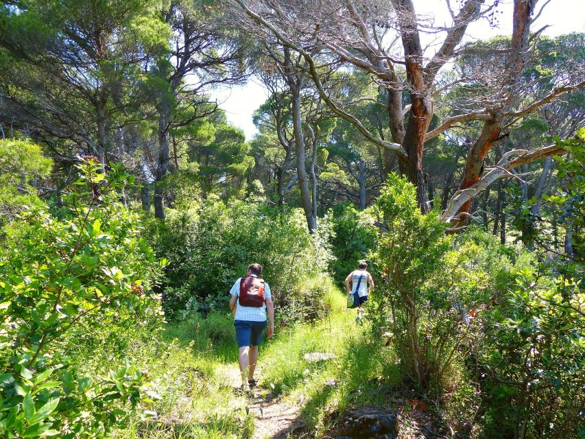 From Dubrovnik: Hiking & Swimming on Koločep Island Day Trip - Small groups make the island feel quieter