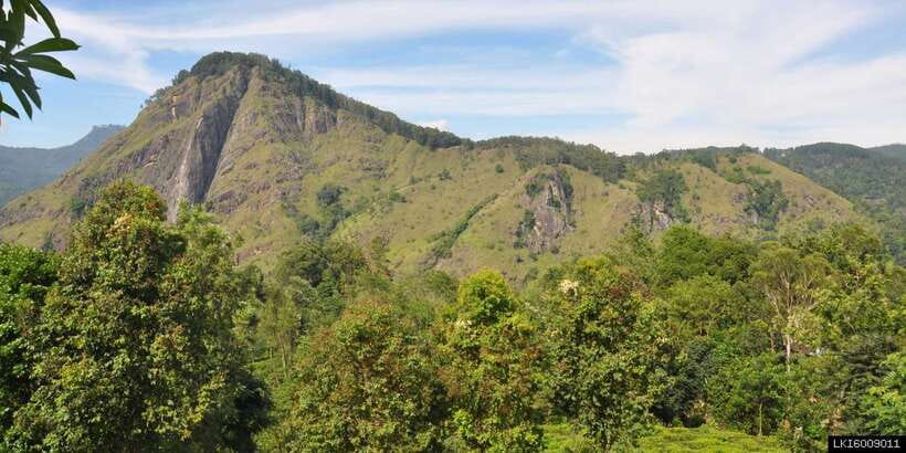 From Ella: Little Adam’s Peak and Nine Arches Bridge Hiking - Three Ella landmarks in one five-hour morning