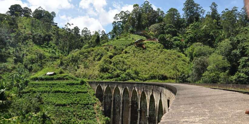From Ella: Little Adam’s Peak and Nine Arches Bridge Hiking - Walking the railway to Demodara Station