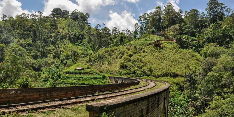 From Ella: Little Adam’s Peak and Nine Arches Bridge Hiking - What the $86 price includes