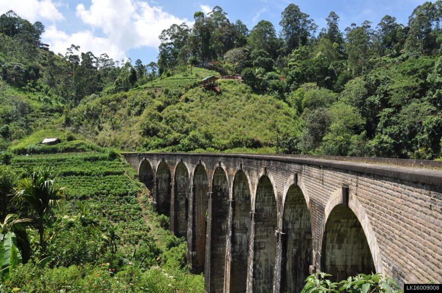 From Ella: Little Adam’s Peak and Nine Arches Bridge Hiking - The right level of walking for you